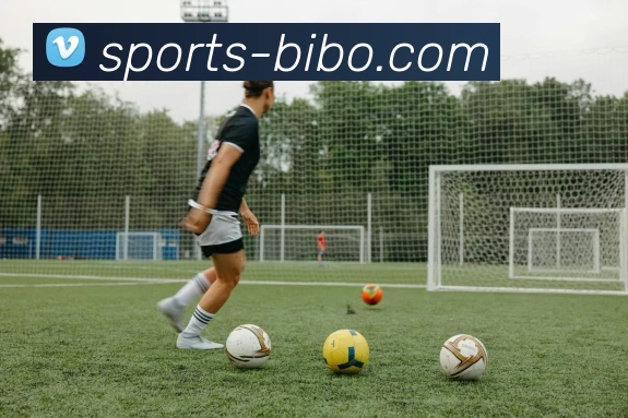 平台使命图